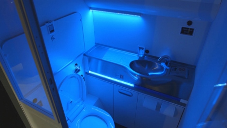 Boeing self-cleaning toilet