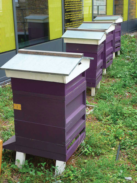 St Ermin\\\\\\'s bee hives